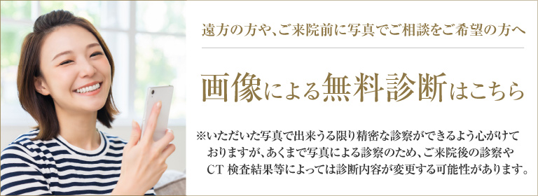 画像による無料診断はこちら